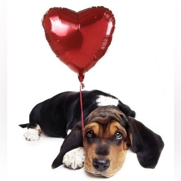 ✨🆕✨ Cute Colorful Balloon 🎈 Dog Earrings ✨ available in multiple colors✨ - Picture 3 of 9